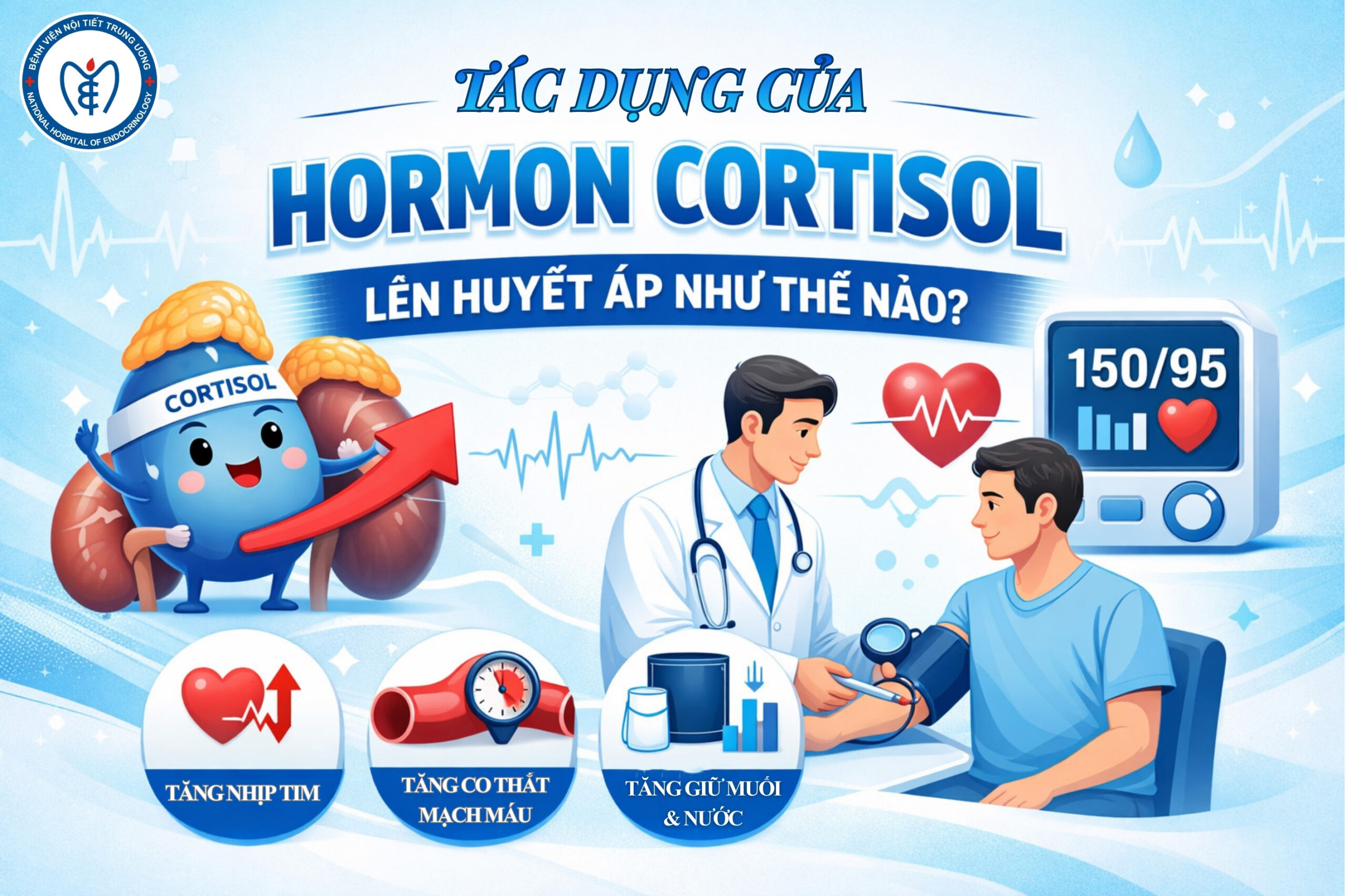Tác dụng của hormon cortisol lên huyết áp như thế nào?